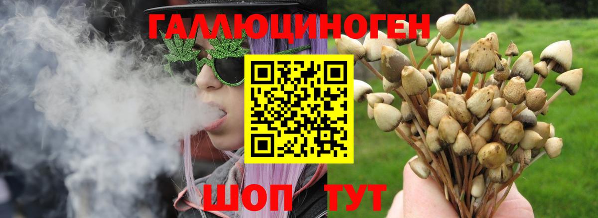 Галлюциногенные грибы Magic Shrooms Гуково