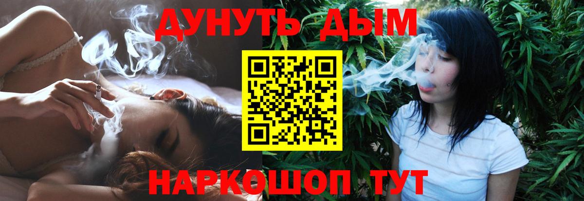 Марихуана сатива Гуково